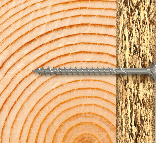 fischer PowerFast II Schraube Senkkopf mit Innenstern-Antrieb in Holz eingedreht, Detailansicht